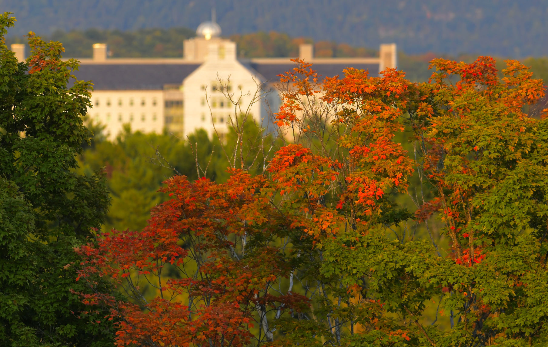 Fall Arrives